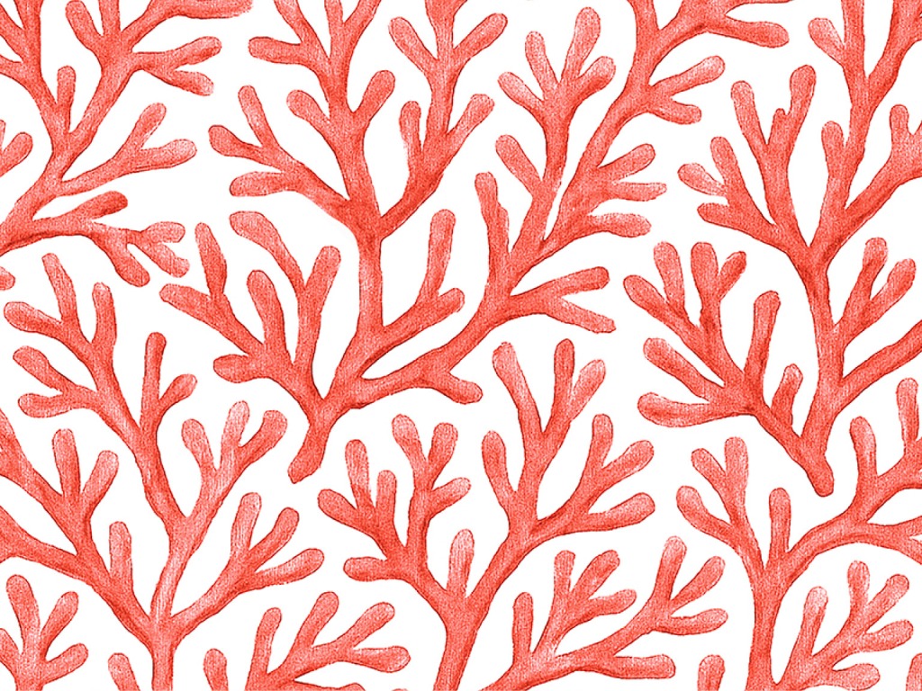 Click para volver a la lista de art�culos