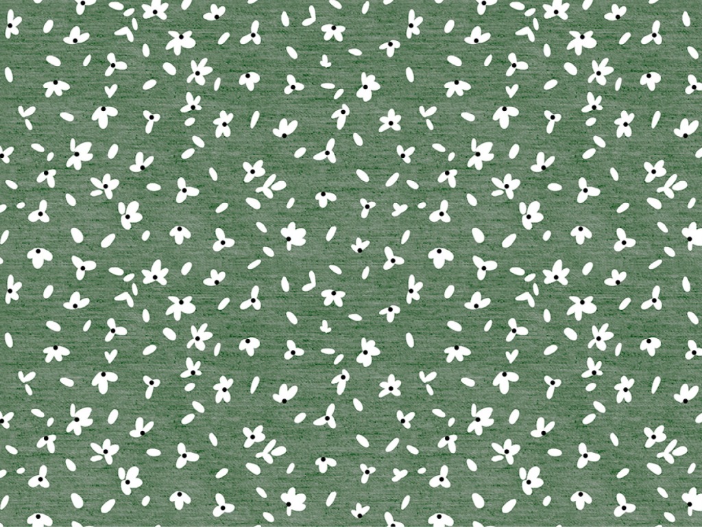 Click to return to the list of products