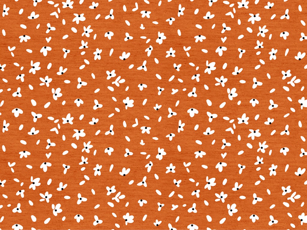 Click to return to the list of products