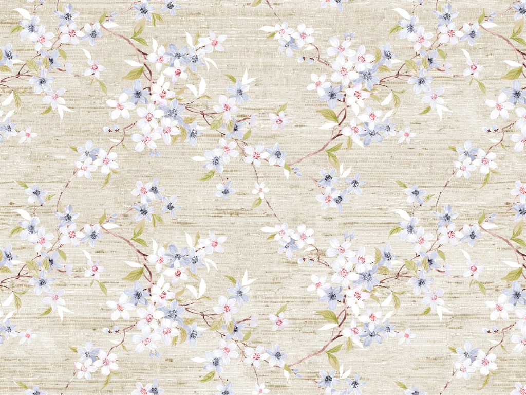 Click to return to the list of products