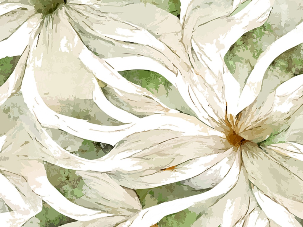 Click to return to the list of products