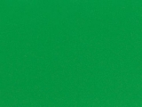 ADH.VERDE CLARO BRILLO A-45 R-15M.
Reference: 3800101365 (Available)