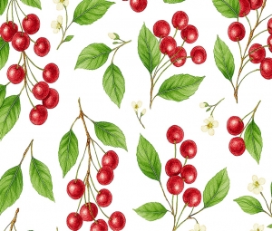 ANNA STAR CEREZAS-3  A-140 R-20M.
Referencia: 5500000760 (Disponible)