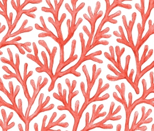 ANNA STAR CORALIA CORAL   A-140 R-20M.
Referencia: 5500000762 (Disponible)